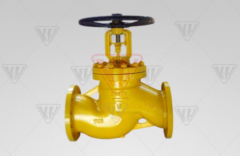 Chlorine dedicated globe valve